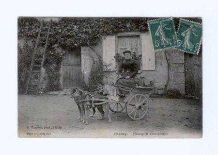 Carte Postale Thenay